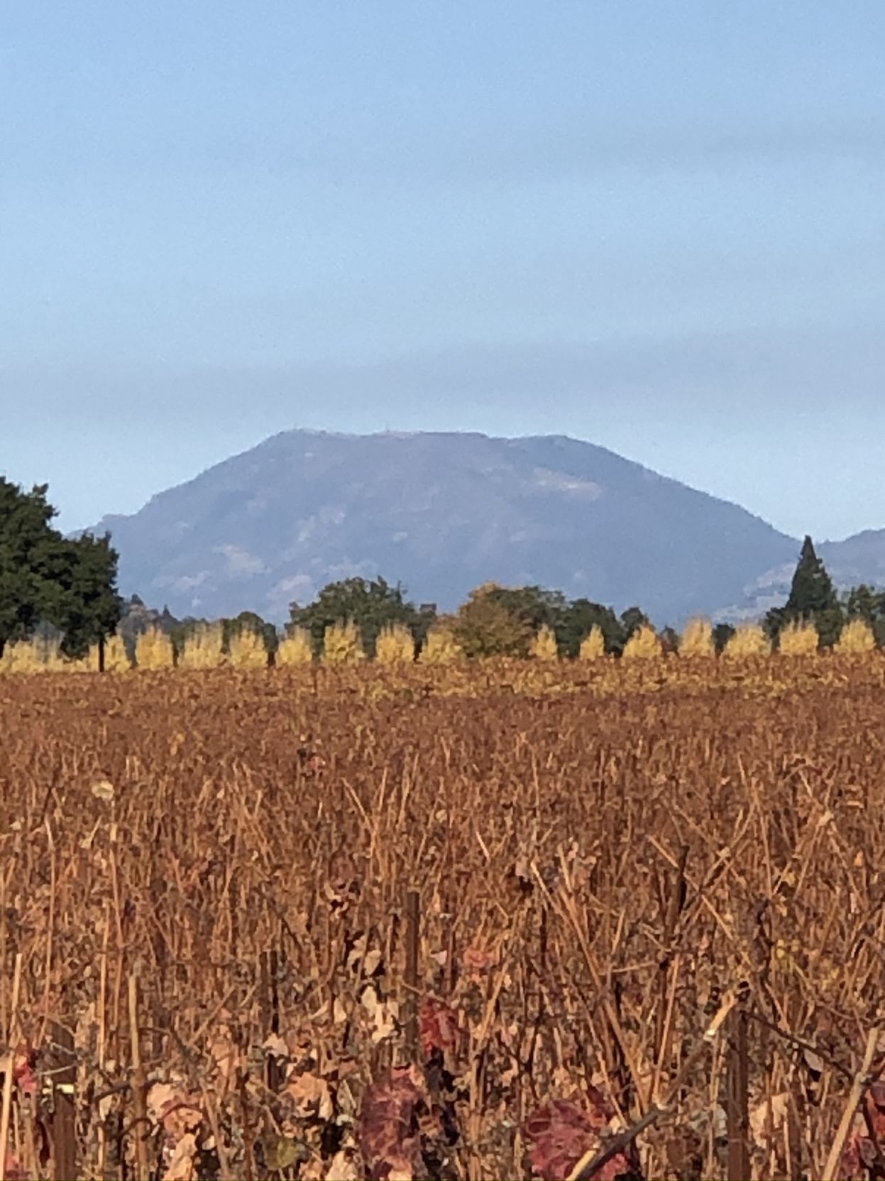 Scenic Napa Valley